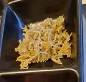 멸치