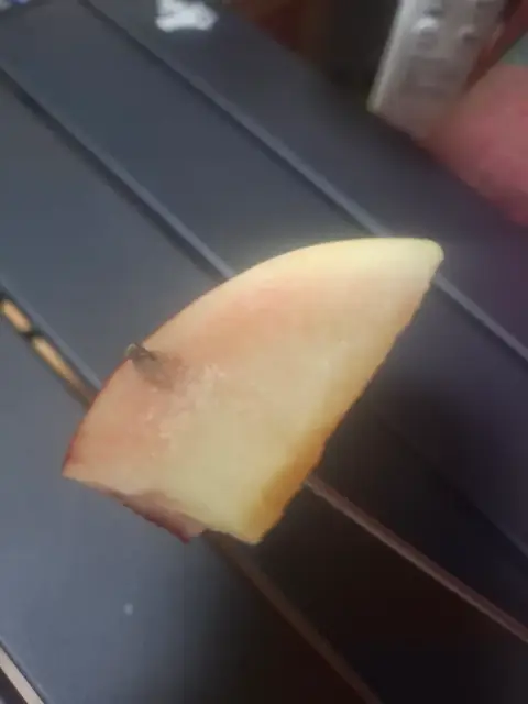 모랑랑님의 백도 후기 이미지