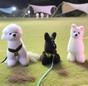 Haroo님의 프로필 이미지