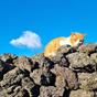 따꽃님의 프로필 이미지