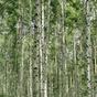 blueheart님의 프로필 이미지