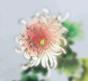 KREDE28님의 프로필 이미지