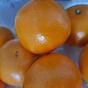 바로걷기님의 프로필 이미지