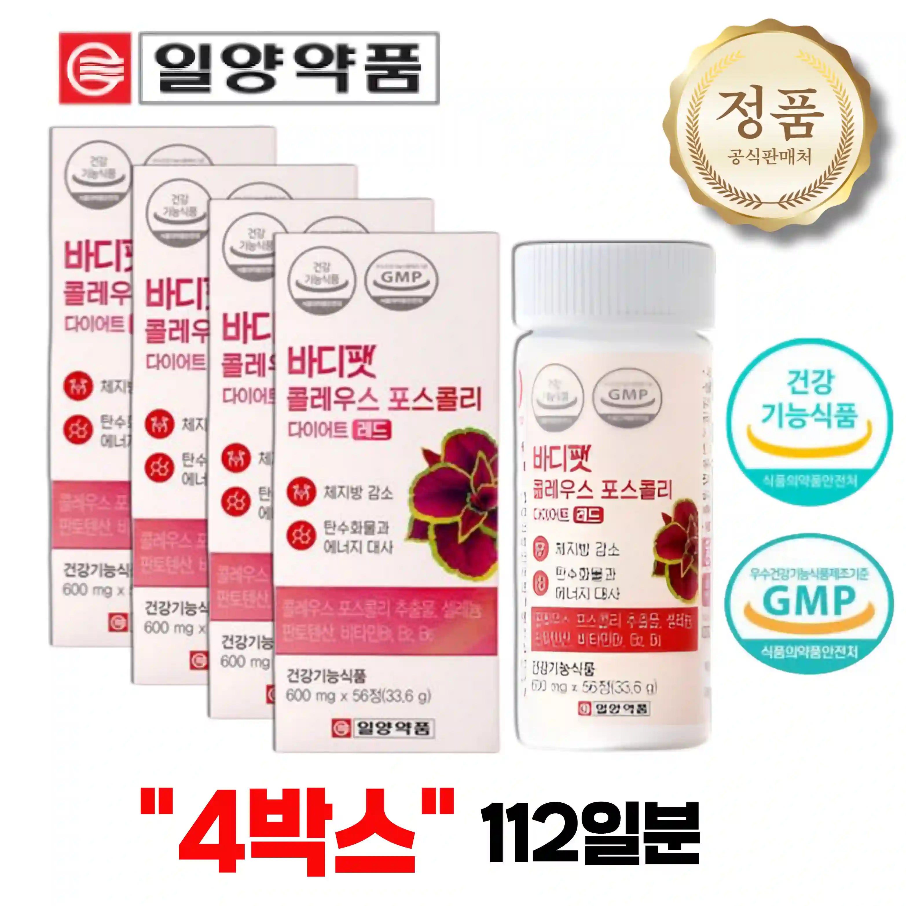 밸런스 콜레우스 다이어트