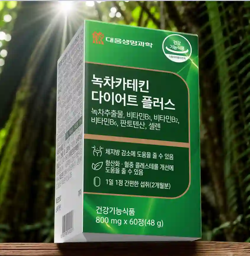 체지방 아웃 카테킨 플러스