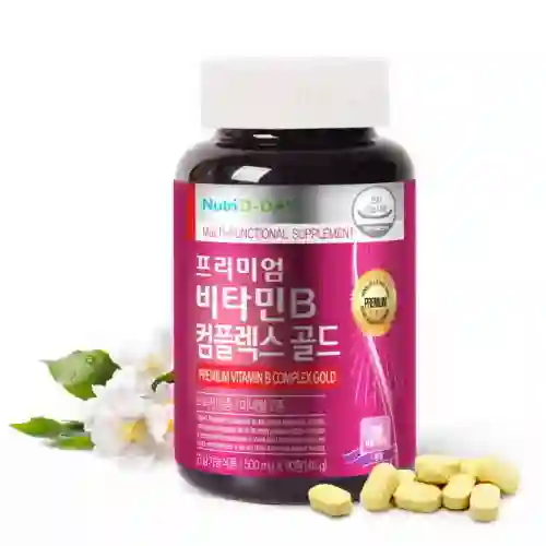 키즈원 골드B(비)