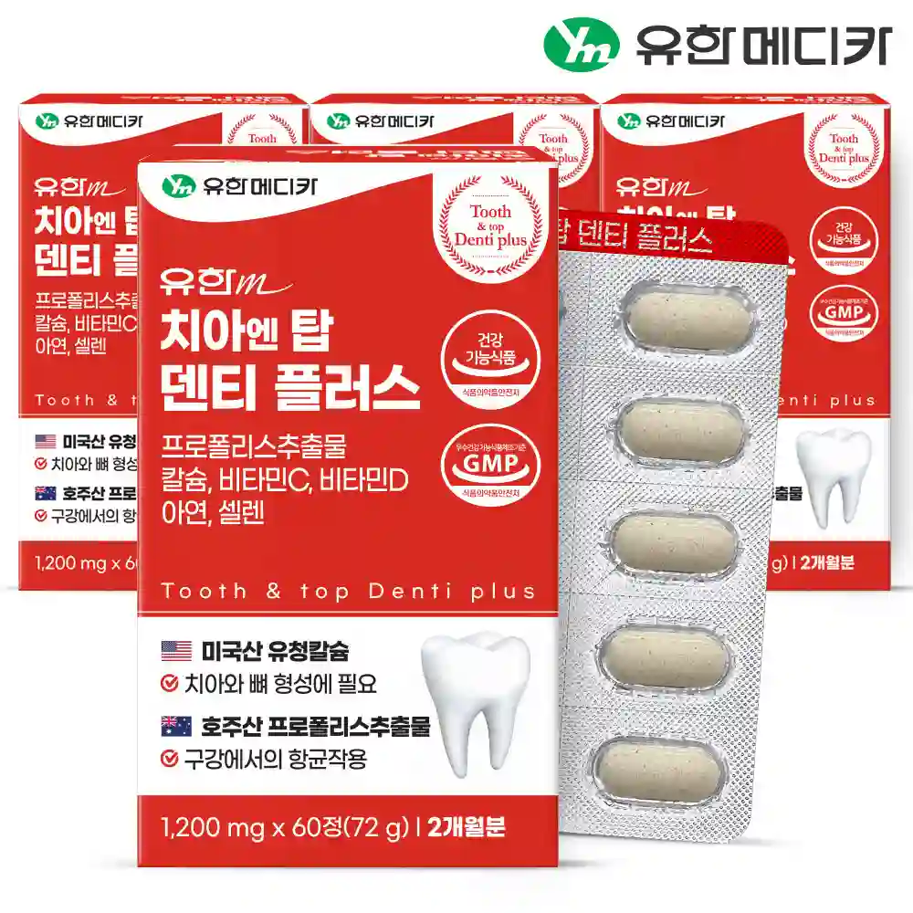 치아엔탑 덴티 플러스