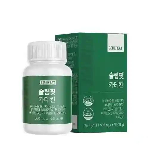 파이널 카테킨