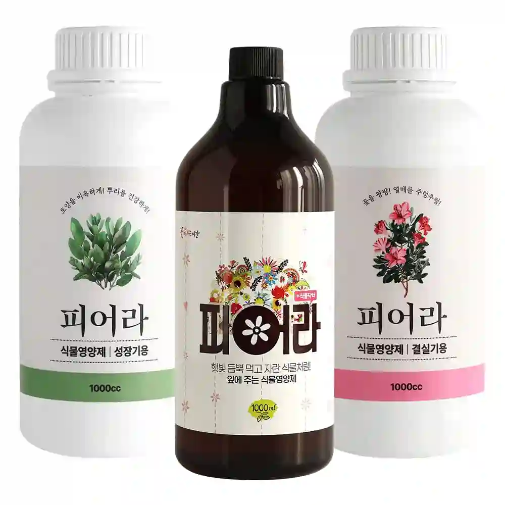 피어라