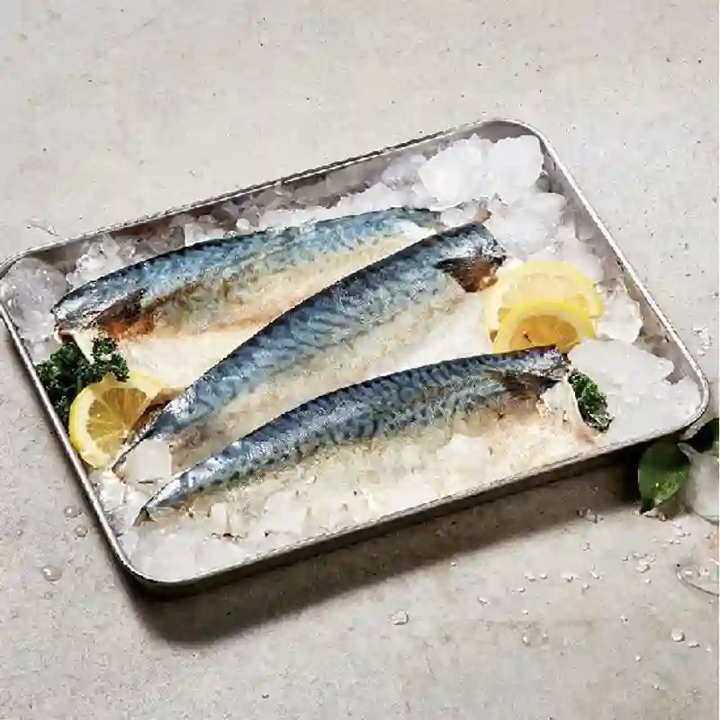 단이틀